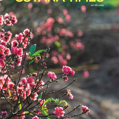 Bản tin nội bộ 2025